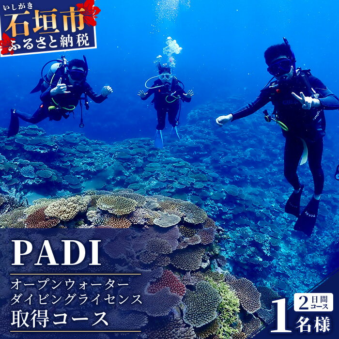 【ふるさと納税】 ダイビングライセンス PADI オープンウォーター ダイバー コース MO-2