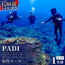 【ふるさと納税】 ダイビングライセンス PADI アドバンスド ・ オープンウォーター ダイバー コース MO-3