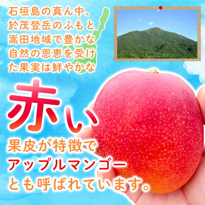 沖縄県石垣市の画像3