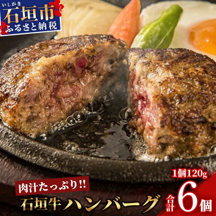 石垣牛ハンバーグ 6個セット 沖縄県石垣市 送料無料 石垣牛 ハンバーグ