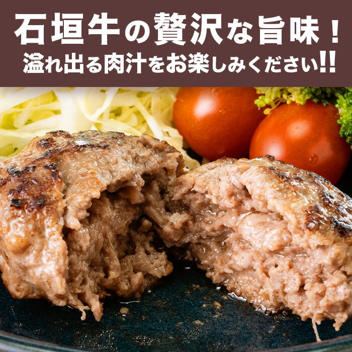 【ふるさと納税】石垣牛ハンバーグ 6個セット 沖縄県石垣市 送料無料 石垣牛 ハンバーグ E-27