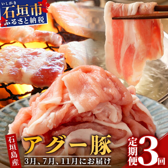 [定期便] 豚肉 セット 石垣島産 アグー豚 南ぬ豚 食べ比べ 3回 計2.7kg 切り落とし 1.5kg 焼肉 600g しゃぶしゃぶ 600g ふるさと納税 豚肉 国産 ブランド豚 冷凍 沖縄県 石垣市 人気 送料無料