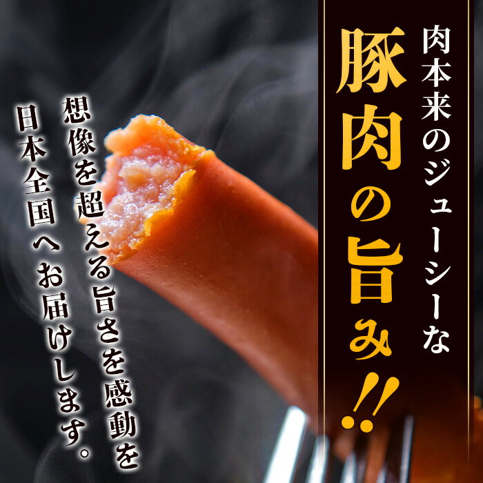 沖縄県石垣市の画像2