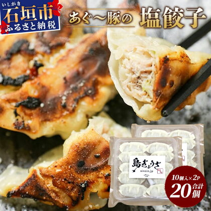 あぐー豚 ぎょうざ 20個【ブランド豚 アグー豚 使用】 ぎょうざ 餃子 焼き餃子 水餃子 焼餃子 惣菜 おかず GS-3