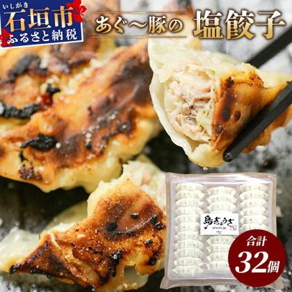 あぐー豚 ぎょうざ 32個【ブランド豚 アグー豚 使用】 ぎょうざ 餃子 焼き餃子 水餃子 焼餃子 惣菜 おかず GS-4