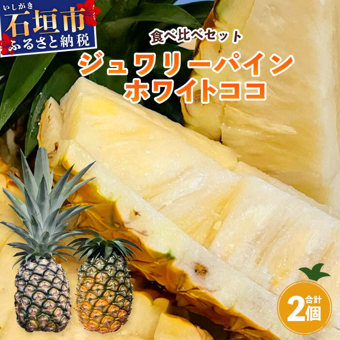 【ふるさと納税】《2024年5月下旬～7月発送》最高糖度20度！？ 完熟の極 石垣島産ジュワリーパインとホワイトココの食べ比べセット | 沖縄 石垣島 石垣 八重山 パイン ホワイト ジュワリー 期間限定 数量限定 沖縄県 石垣島産 TF-20