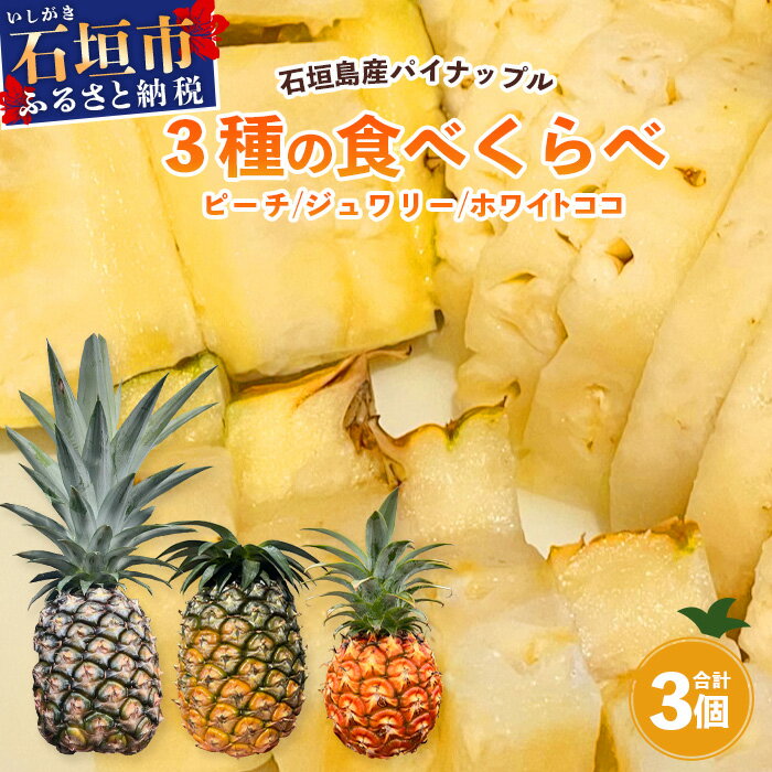 [2024年5月下旬〜7月発送]完熟の極!? 石垣島産パイナップル 大満足の食べ比べセット ピーチ&ジュワリー&ホワイトココ 3種の食べ比べセット | 沖縄 石垣島 石垣 八重山 パイン ピーチパイン 期間限定 数量限定 沖縄県 石垣島産