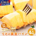 【ふるさと納税】《2026年5月中旬以降順次発送》香りに溺れる!? 完熟の極 てとの黄金パイン大玉約4kg | 沖縄 石垣 ゴールデン 黄金 パイン パイナップル 完熟 大玉 セット フルーツ デザート TF-25_R8