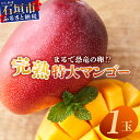 【ふるさと納税】《2026年6月下旬~7月発送》【先行予約】最高糖度20度!? まるで恐竜の卵!?完熟超特大マンゴー1個入り | 沖縄 石垣島 石垣 八重山 マンゴー 完熟 太玉 特大 期間限定 数量限定 TF-29_R8