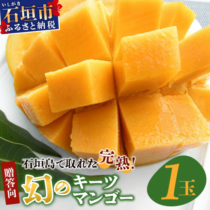 【ふるさと納税】《2025年7月下旬～8月下旬発送》【先行予約】最高糖度23度！？ 完熟の極！7Lサ