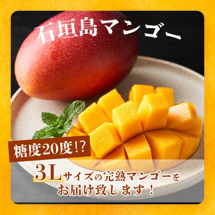 沖縄県石垣市の画像2