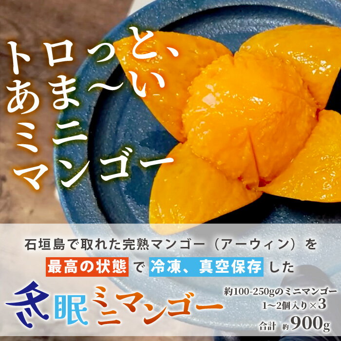 【ふるさと納税】《2024年7月下旬以降発送》最高糖度20度！？ 完熟！石垣島産冬眠ミニマンゴー | 沖縄 石垣 数量限定 フルーツ ミニ マンゴー 冷凍 完熟 真空 TF-18