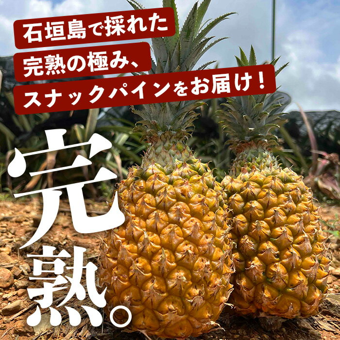 沖縄県石垣市の画像2