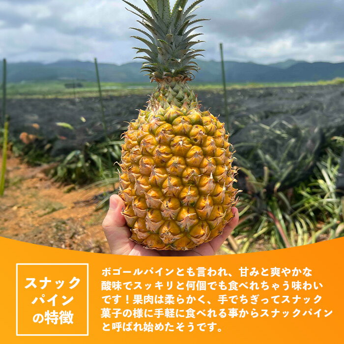 沖縄県石垣市の画像3