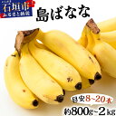 【ふるさと納税】<選べる容量><2025年発送><2026年発送 先行予約>バナナ好きに届けたい!!届いてすぐ食べられる、もっちり食感がやみつきの希少な国産『プレミアム島ばなな』を1房丸ごとお届け!! 800g〜2kg(約8〜20本) | バナナ 島バナナ フルーツ 沖縄県 石垣島|詳細画像