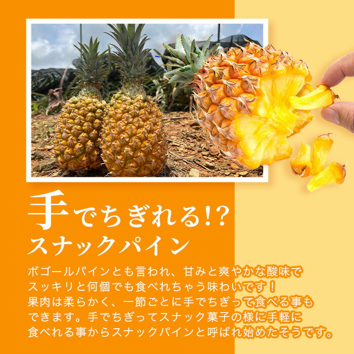 沖縄県石垣市の画像3