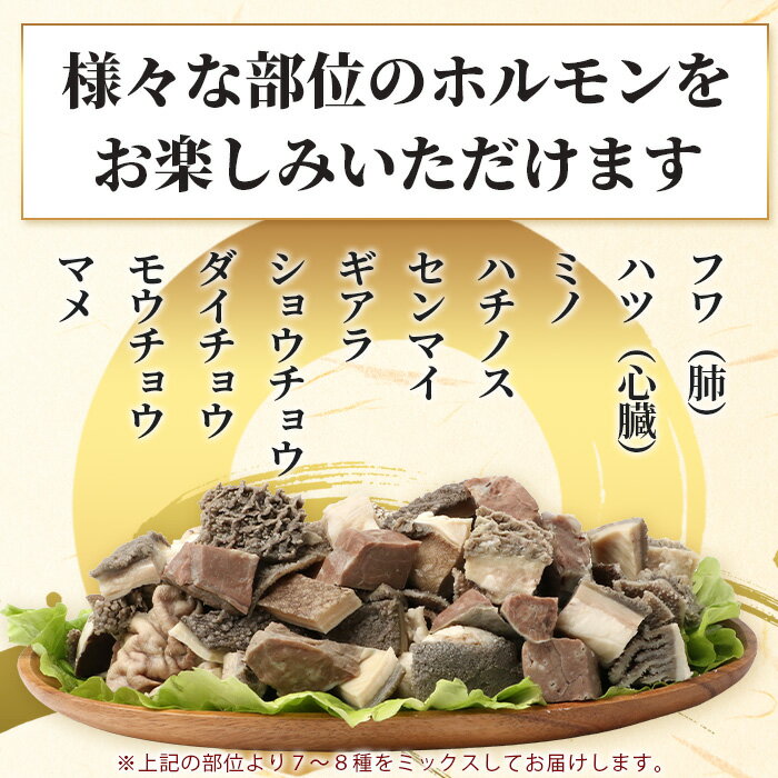 沖縄県石垣市の画像3