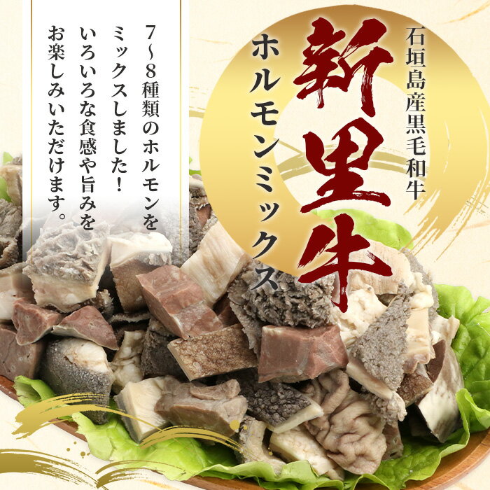 沖縄県石垣市の画像2