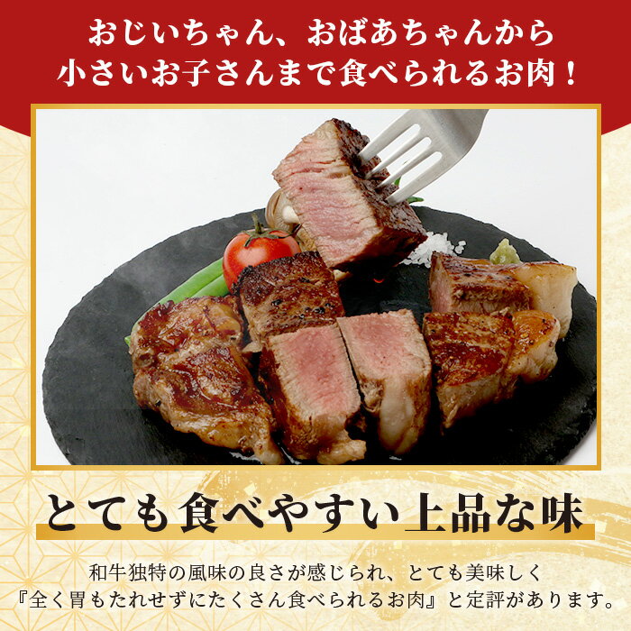 沖縄県石垣市の画像3