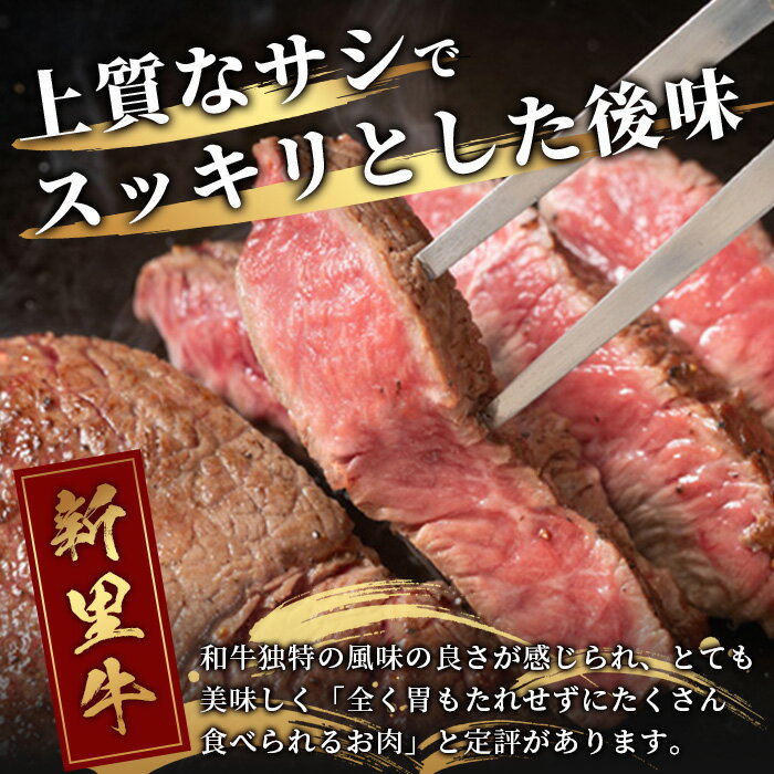 沖縄県石垣市の画像3