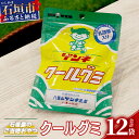 あめ・ミント・ガム(グミ)人気ランク8位　口コミ数「0件」評価「0」「【ふるさと納税】【島外不出のゲンキくんグッズが返礼品に!!】八重山ご当地キャラクターゲンキくん クールグミ 12袋 八重山ゲンキ乳業 お土産 観光 ゲンキくん ゲンキクール サイダー 乳酸菌入り 沖縄県 石垣市 送料無料【日本最南端寺院石垣島桃林寺 ご祈祷ステッカー付】」