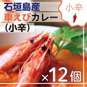 【ふるさと納税】石垣島産車えびカレー(小辛)【冷凍 12食】石垣島のカレー専門店が作るご当地カレー SK-1