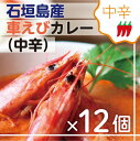 【ふるさと納税】石垣島産車えびカレー(中辛)【冷凍 12食】石垣島のカレー専門店が作るご当地カレー SK-3