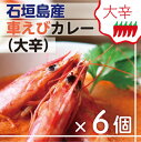 【ふるさと納税】石垣島産車えびカレー(大辛)【冷凍 6食】石垣島のカレー専門店が作るご当地カレー SK-5