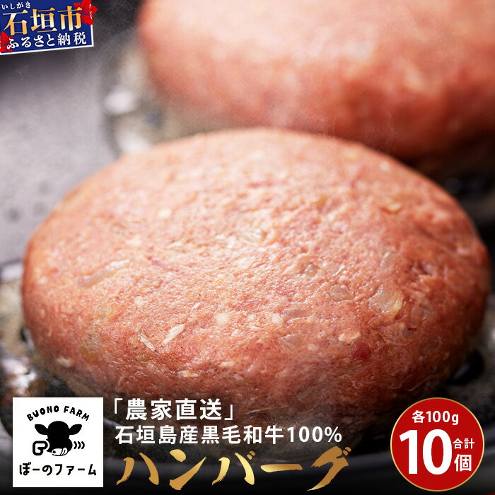 「農家直送」石垣島黒毛和牛100%ハンバーグ 100g×10個 | 沖縄県 石垣 直送 黒毛 和牛 ハンバーグ BO-1