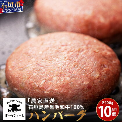 「農家直送」石垣島黒毛和牛100％ハンバーグ 100g×10個 | 沖縄県 石垣 直送 黒毛 和牛 ハンバーグ BO-1