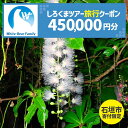 【ふるさと納税】【石垣市】しろくまツアーで利用可能なWEB旅行クーポン(45万円分) | 旅行 チケット 紙券 宿泊 宿泊券 宿 観光 クーポン ホテル 飛行機...