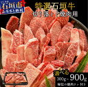 【ふるさと納税】<2025年11月以降順次発送 / 内容量が選べる!>希少な特選石垣牛をご家庭で!!切り落とし焼肉用&焼肉タレ100ml×1本 | 沖縄 石垣 ...
