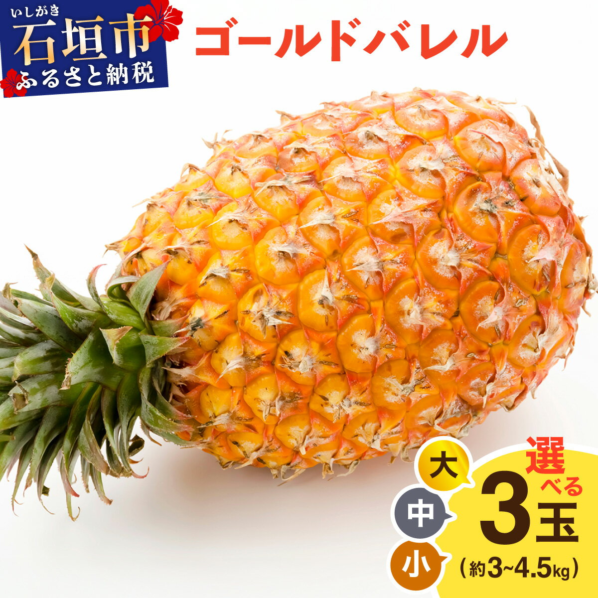 【ふるさと納税】《2026年5月上旬より順次発送》【大きさ選べる】ゴールドバレル 小〜大 3玉 約3〜4.5kg|通常 訳あり 産地直送 沖縄 石垣 パイナップ...