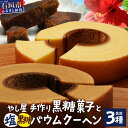 【ふるさと納税】石垣島 やし屋手作り 石垣の塩バウムクーヘン×1箱 & 黒糖バウムクーヘン×1箱&手作り黒糖菓子 詰め合わせセット【 沖縄県 石垣市 石垣島 黒糖 石垣の塩 手作り 菓子 バウムクーヘン 】YA-4(4)