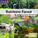 【ふるさと納税】Rainbow Forest(レインボーフォレスト)施設利用券6,000円分 RF-2|沖縄県 石垣市 グランピング 宿泊券 旅行