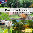 【ふるさと納税】Rainbow Forest(レインボーフォレスト)施設利用券30,000円分 RF-5|沖縄県 石垣市 グランピング 宿泊券 旅行