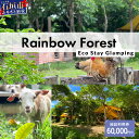【ふるさと納税】Rainbow Forest(レインボーフォレスト)施設利用券60,000円分 RF-6|沖縄県 石垣市 グランピング 宿泊券 旅行