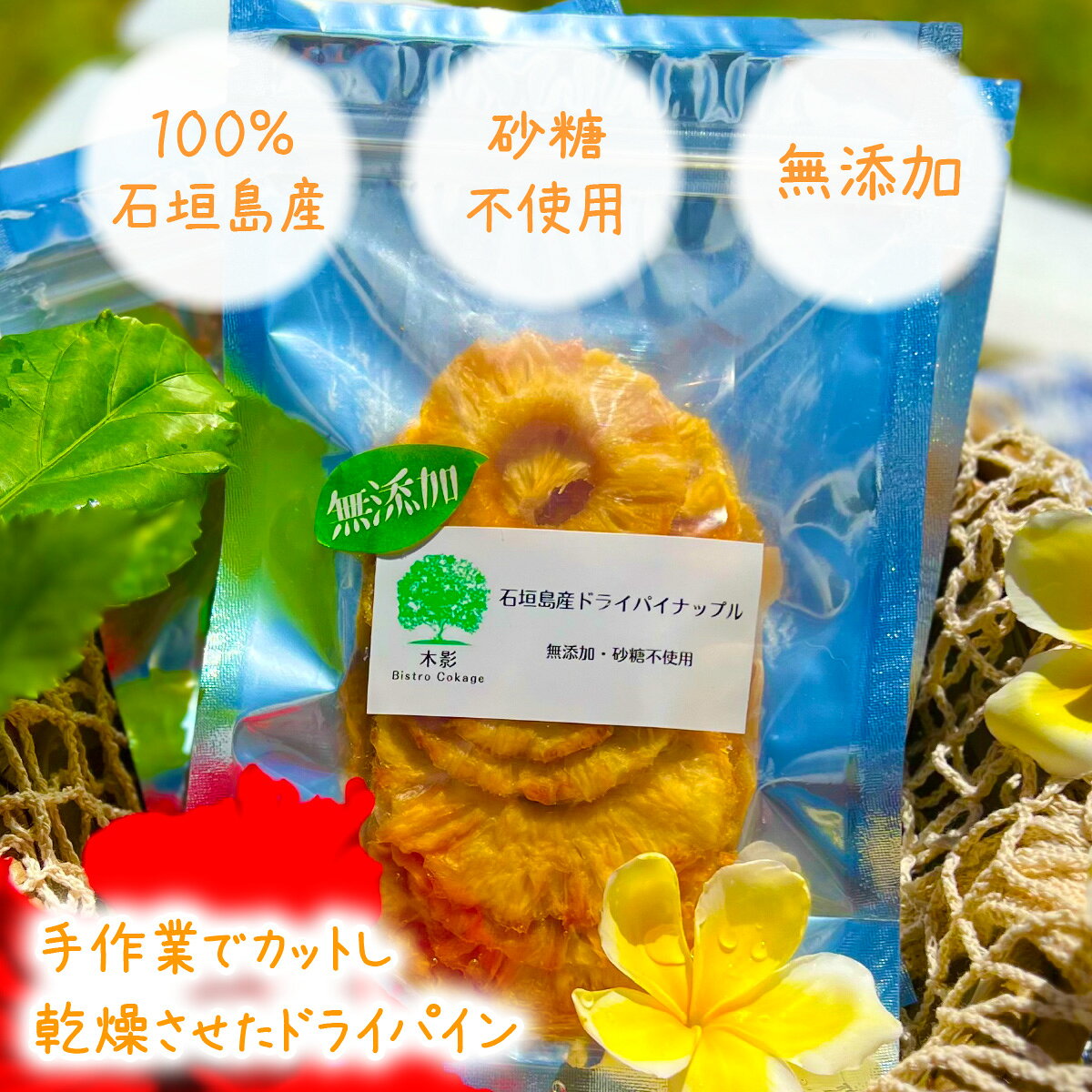 【ふるさと納税】石垣島産ドライパイナップル | パイン パイナップル フルーツ 果物 ドライフルーツ お菓子 おやつ 朝食 沖縄県 石垣市 ふるさと BK-001 f472077-ishigaki-10002911 沖縄県石垣市 サンプル画像2