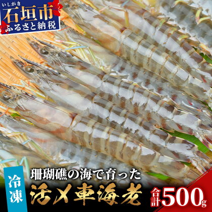 車えび 500g 冷凍 25尾 ～ 33尾 Sサイズ 真空パック | ふるさと納税 車えび 車海老 クルマエビ 海老 エビ 海鮮 国産 ふるさと 沖縄県 沖縄 石垣 石垣島 石垣市 人気 送料無料 BE-5