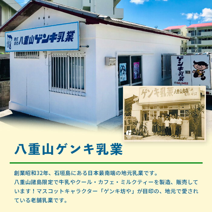 【ふるさと納税】ふるさと納税限定 八重山ゲンキ乳業 オールスター セット 計9000ml | ふるさと納税 牛乳 ゲンキクール さんぴん茶 ミルクティー ふるさと 沖縄県 沖縄 石垣 石垣島 石垣市 人気 送料無料 定期便 GN-2