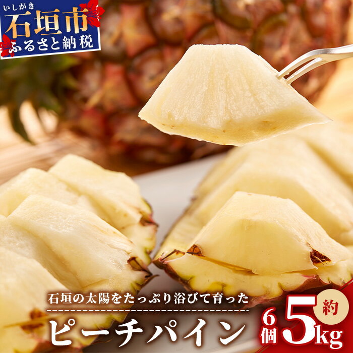 【ふるさと納税】【先行受付】石垣パイン 6個セット ピーチ種【2025年5月初旬~6月初旬発送予定】MI-3-1 パイナップル パインアップル 石垣島パイン フルーツ 果物 くだもの 南国フルーツ 国産パイン ジュース 5kg 6個 ピーチパイン 国産