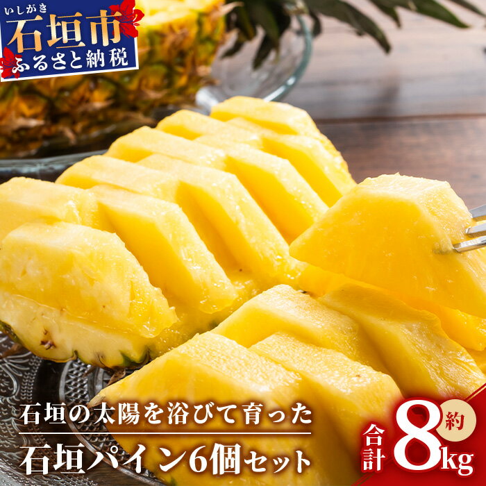 【ふるさと納税】【先行受付】石垣パイン 6個セット ハワイ種 【2025年6月初旬～7月下旬の発送予定】MI-7-1 パイナップル パインアップル 石垣島パイン フルーツ 果物 くだもの 南国フルーツ 国産パイン スイーツ 生食 ジュース 8kg 6個 産地直送 国産フルーツ