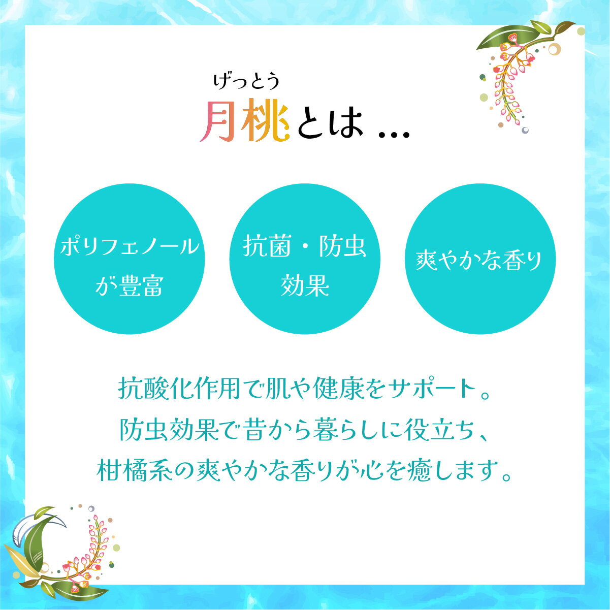 【ふるさと納税】選べる容量】幸−美彩−さちちゅらいろ 月桃バーム 10g・30g | ふるさと納税 沖縄県石垣市 石垣 沖縄 石垣市 石垣島 ふるさと 人気 送料無料 OA-01 OA-02
