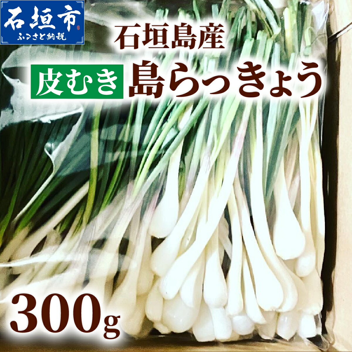 石垣島産 皮むき島らっきょう(下処理済み) 300g (石垣市島らっきょうの会 協同出荷) | 沖縄県 石垣市 沖縄県産 らっきょう 土付き 新鮮 鮮度 沖縄グルメ お取り寄せ おつまみ