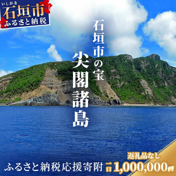 15位! 口コミ数「0件」評価「0」返礼品なし 石垣市の宝 尖閣諸島 資料収集及び情報発信等事業 の為の寄附 寄附額 1000000円 | ふるさと納税 沖縄県 沖縄 石垣 石･･･ 