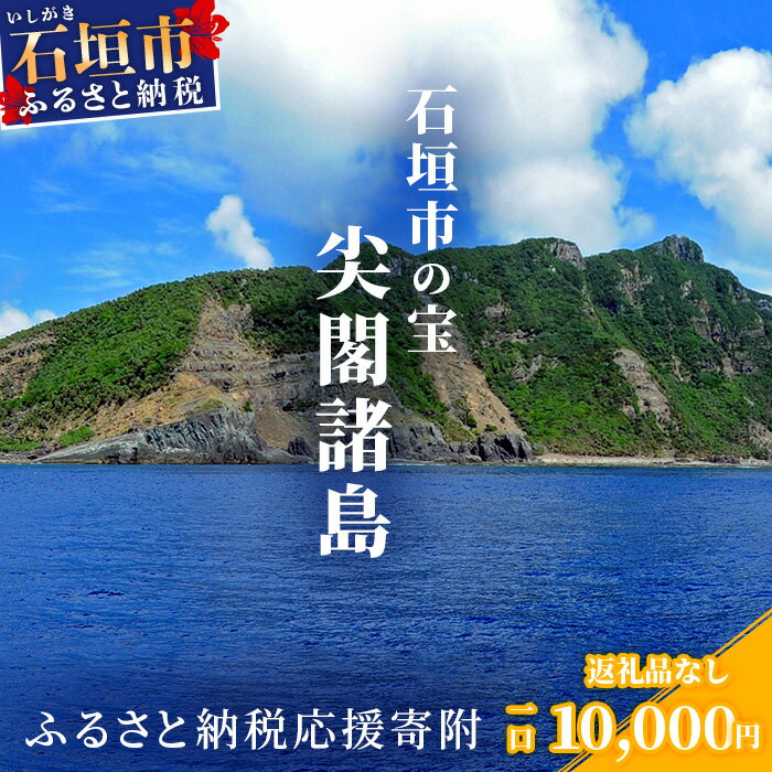 楽天沖縄県石垣市【ふるさと納税】返礼品なし 石垣市の宝 尖閣諸島 資料収集及び情報発信等事業 の為の寄附 寄附額 10000円 | ふるさと納税 沖縄県 沖縄 石垣 石垣島 石垣市 ふるさと