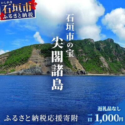 楽天ふるさと納税　【ふるさと納税】【返礼品なし】石垣市の宝「尖閣諸島」資料収集及び情報発信等事業 の為の寄附(1000円)