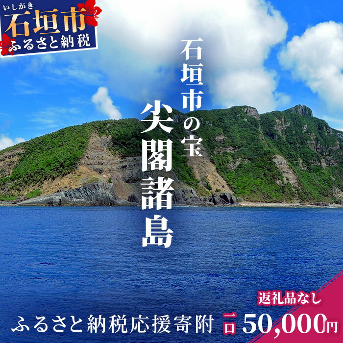 返礼品なし 石垣市の宝 尖閣諸島 資料収集及び情報発信等事業 の為の寄附 寄附額 50000円 | ふるさと納税 沖縄県 沖縄 石垣 石垣島 石垣市 ふるさと