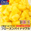 【ふるさと納税】石垣島産フローズンパイナップル3種食べ比べセット | ふるさと納税 パイナップル パイン フルーツ 果物 果実 沖縄県 石垣市 石垣島 産地直送 ふるさと 人気 送料無料 PU-01