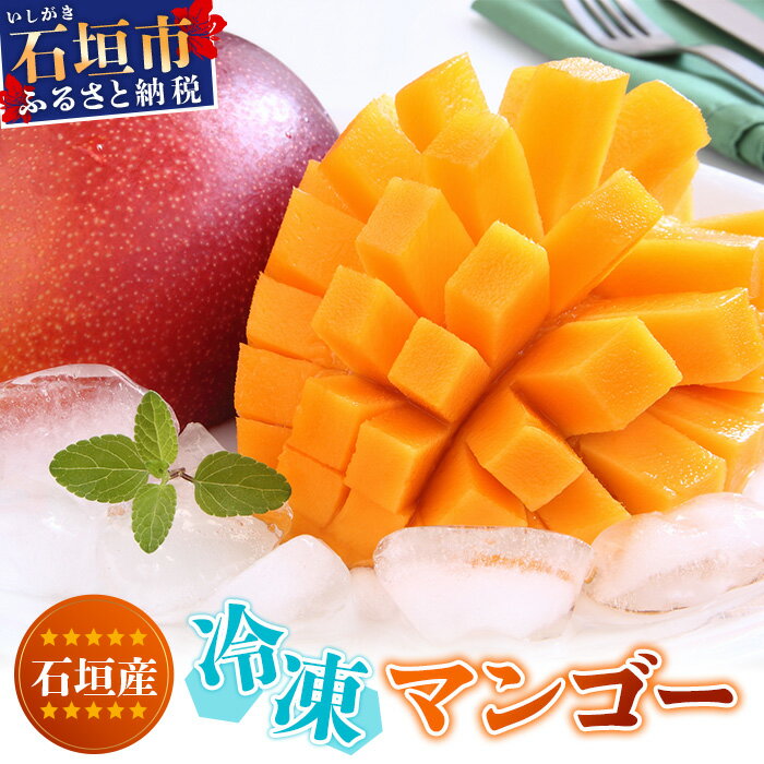 【ふるさと納税】石垣島産 冷凍マンゴー 約1.5kg 2～6玉 | マンゴー アーウィンマンゴー 完熟マンゴー 冷凍 フローズン 果物 フルーツ 果実 国産 ギフト 贈答用 沖縄県 石垣市 石垣島 産地直送 人気 送料無料 OT-10のサムネイル